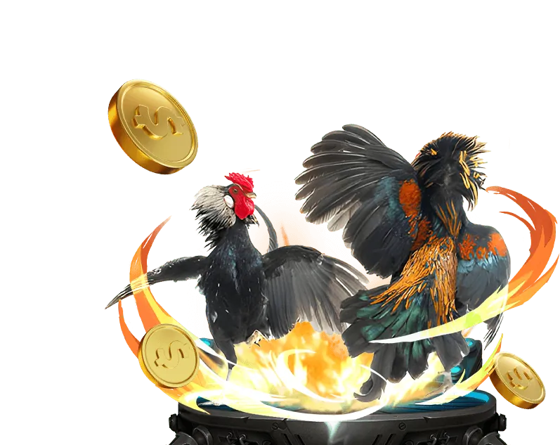 Cá cược bóng đá tại 76win